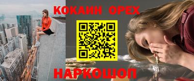 мет Кингисепп