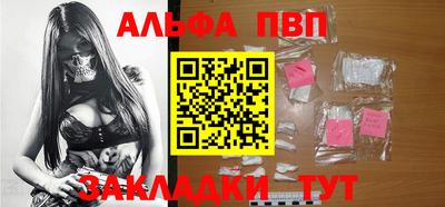мет Кингисепп