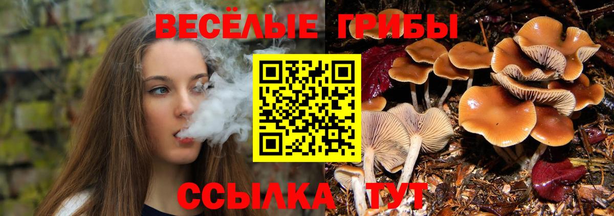 Галлюциногенные грибы ЛСД Будённовск