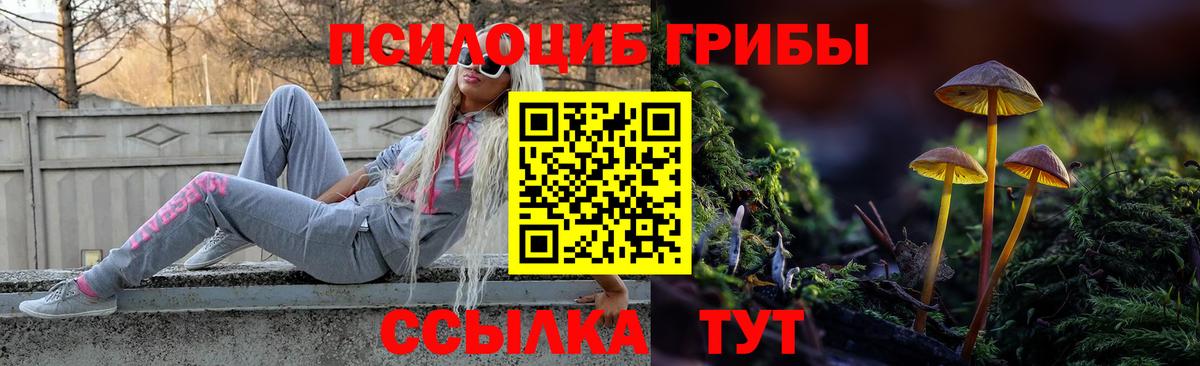 продажа наркотиков  Псилоцибиновые грибы ЛСД  Вход с VPN  Псилоцибиновые грибы Psilocybine cubensis  Будённовск 
